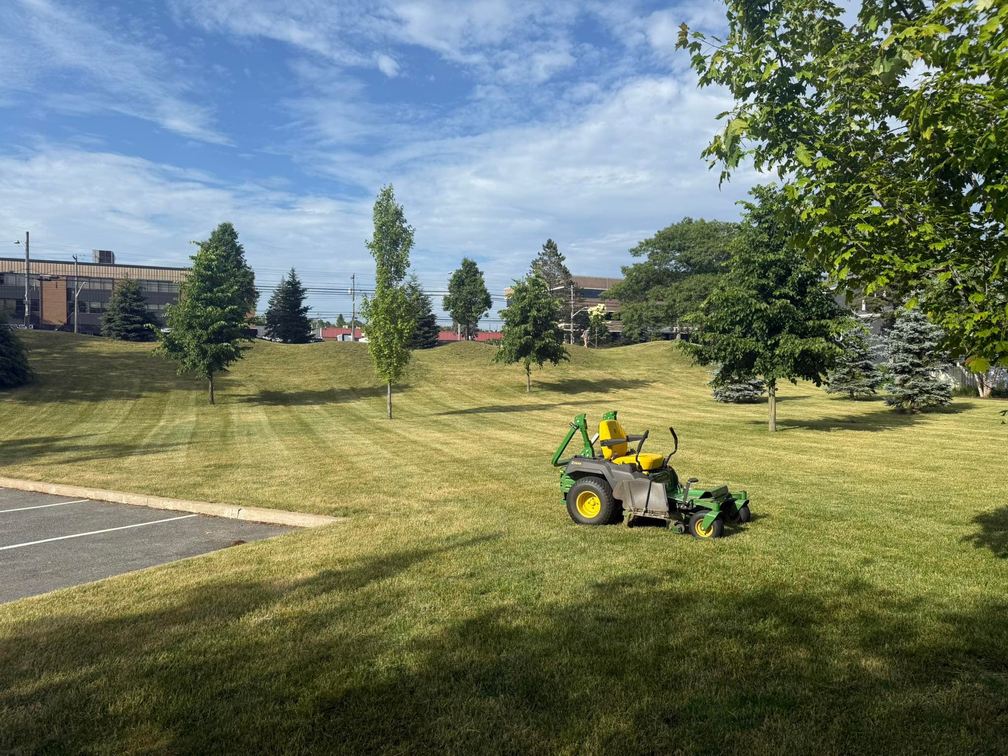 DGS Landscaping Project